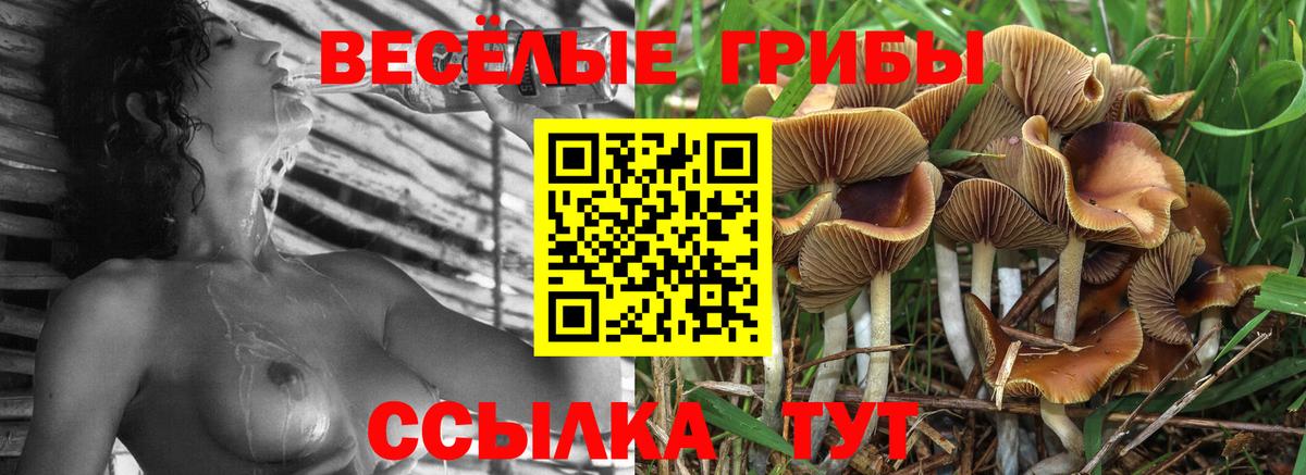 Псилоцибиновые грибы мухоморы Дедовск